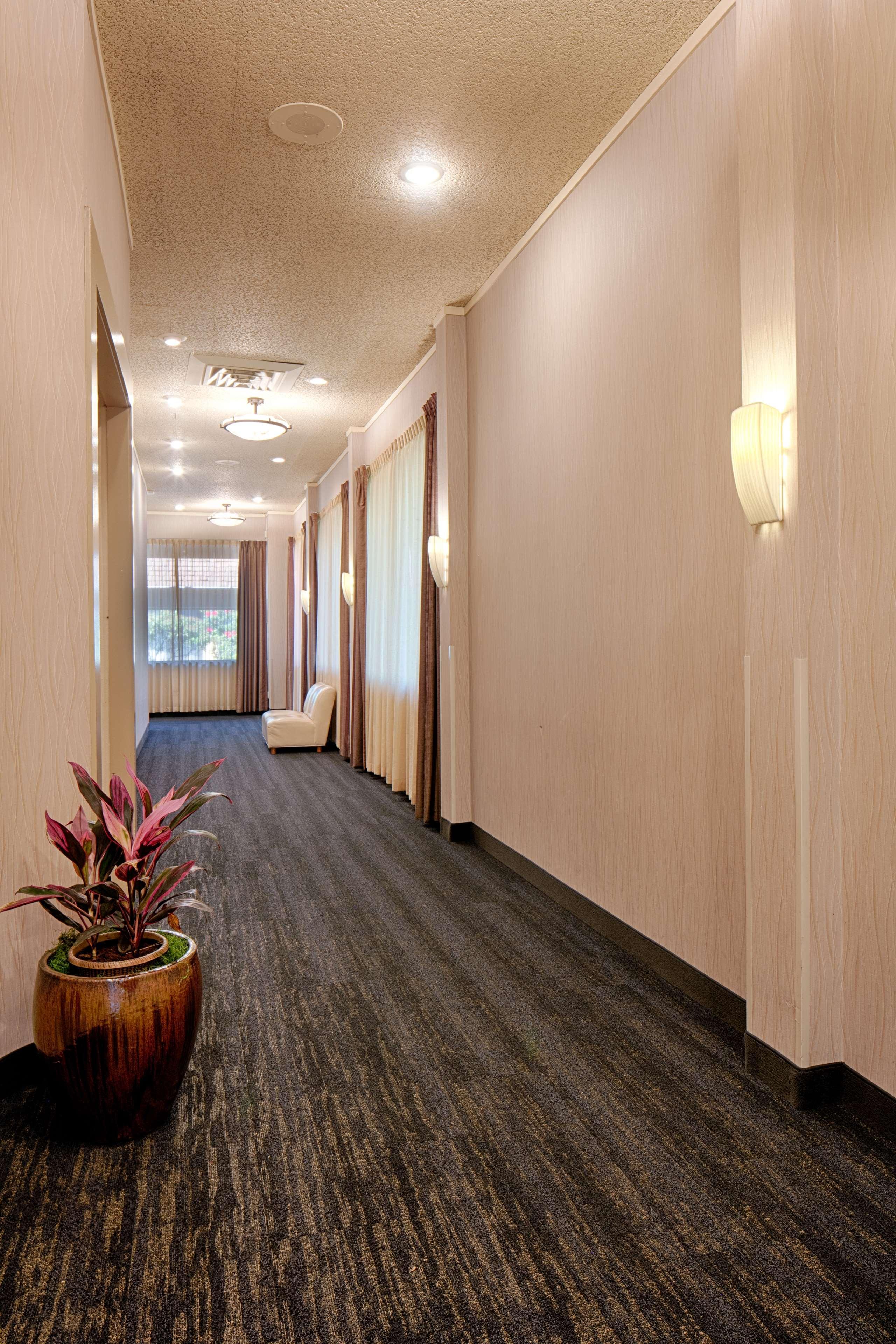 Red Lion Hotel Bellevue Εξωτερικό φωτογραφία